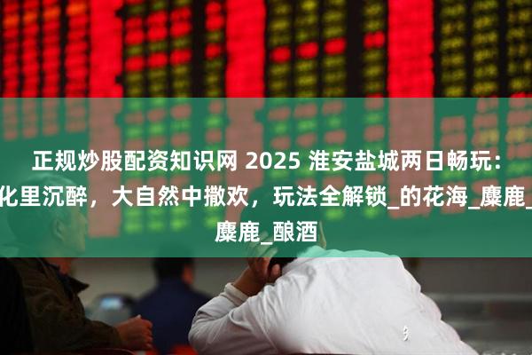 正规炒股配资知识网 2025 淮安盐城两日畅玩：酒文化里沉醉，大自然中撒欢，玩法全解锁_的花海_麋鹿_酿酒