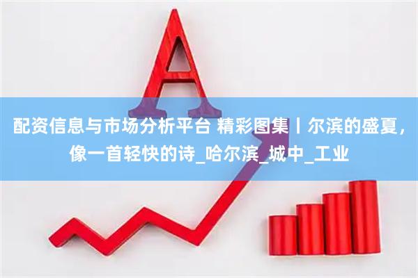 配资信息与市场分析平台 精彩图集丨尔滨的盛夏,像一首轻快的诗_哈尔滨_城中_工业