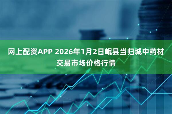 网上配资APP 2026年1月2日岷县当归城中药材交易市场价格行情